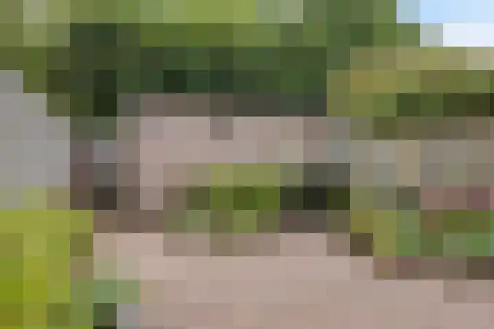De Mommers 8 Waalre thumbnail 35