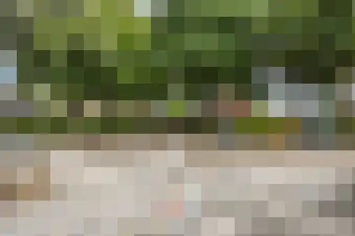 De Mommers 8 Waalre thumbnail 38