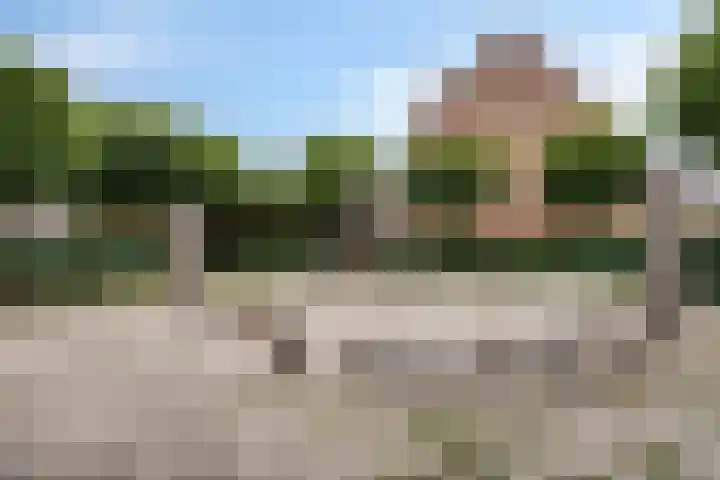 De Mommers 8 Waalre thumbnail 39