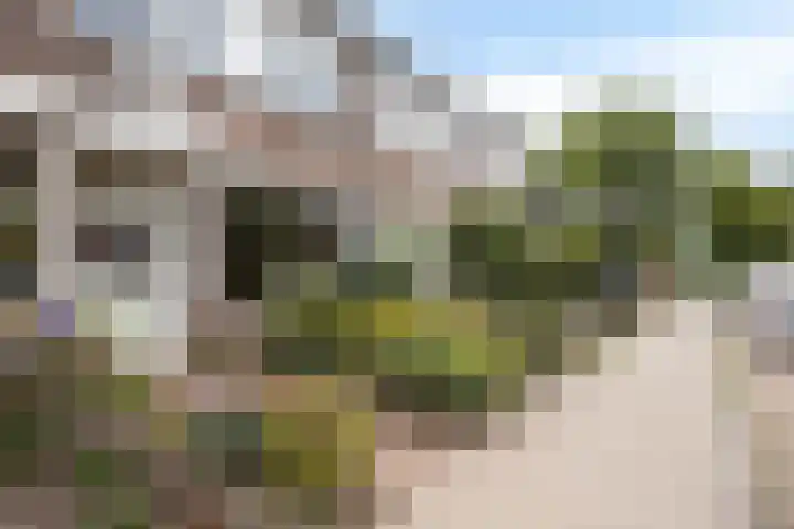 De Mommers 8 Waalre thumbnail 4