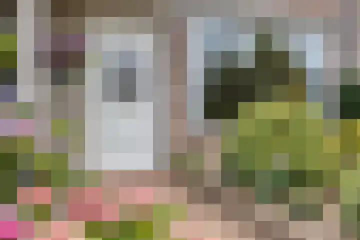 De Mommers 8 Waalre thumbnail 5