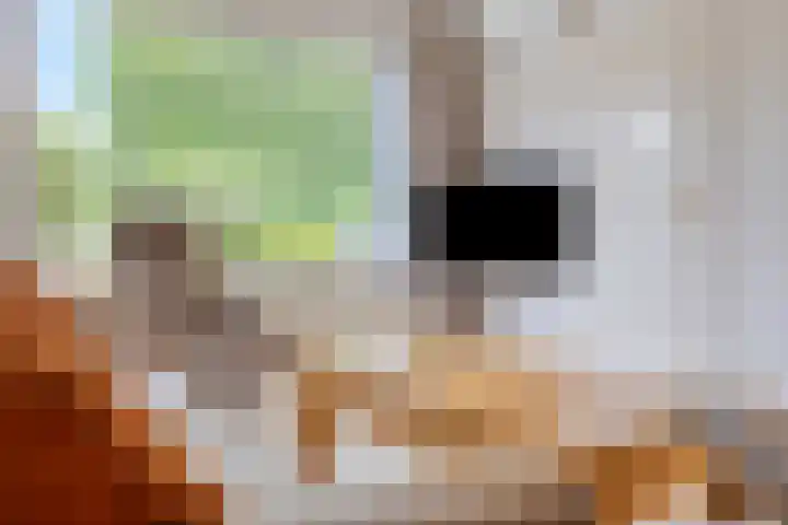 De Mommers 8 Waalre thumbnail 9