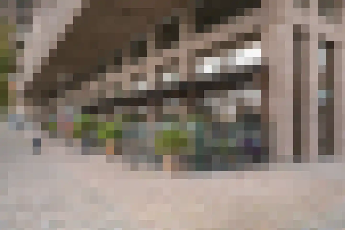 De Monchyplein 105 Rotterdam thumbnail 44