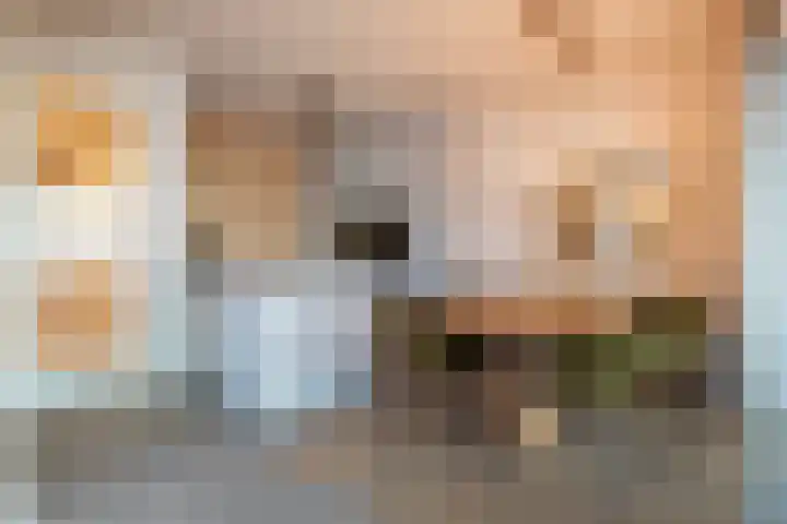 De Monchyplein 12 Rotterdam thumbnail 12