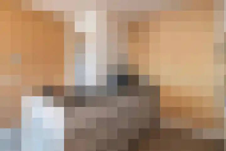 De Monchyplein 12 Rotterdam thumbnail 13