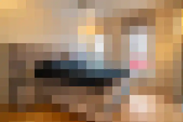 De Monchyplein 12 Rotterdam thumbnail 15