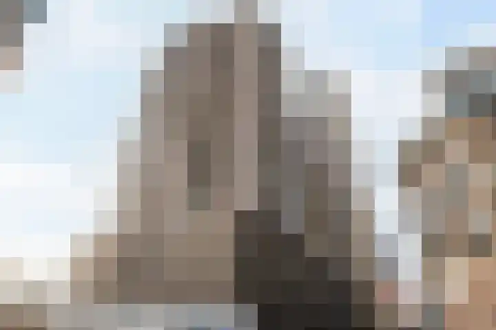 De Monchyplein 12 Rotterdam thumbnail 27