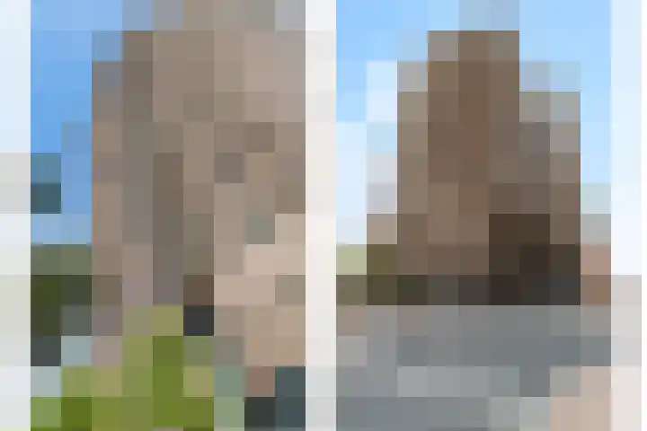 De Monchyplein 79 Rotterdam thumbnail 28