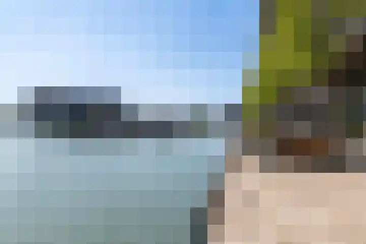 De Monchyplein 79 Rotterdam thumbnail 31