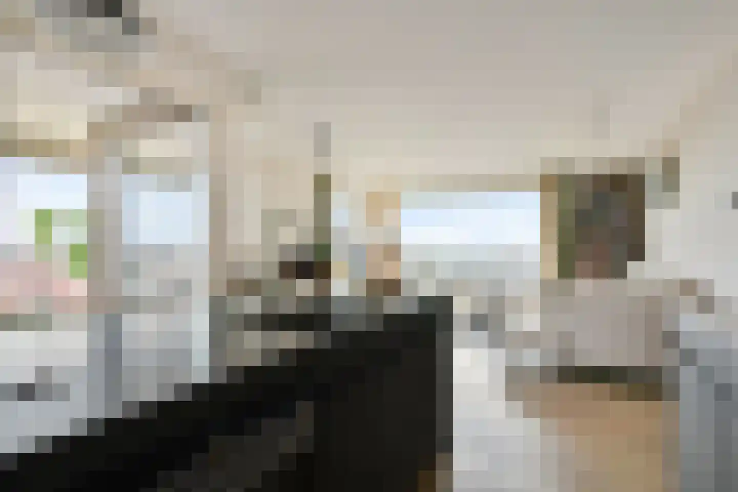 De Monchyplein 95 Rotterdam thumbnail 14