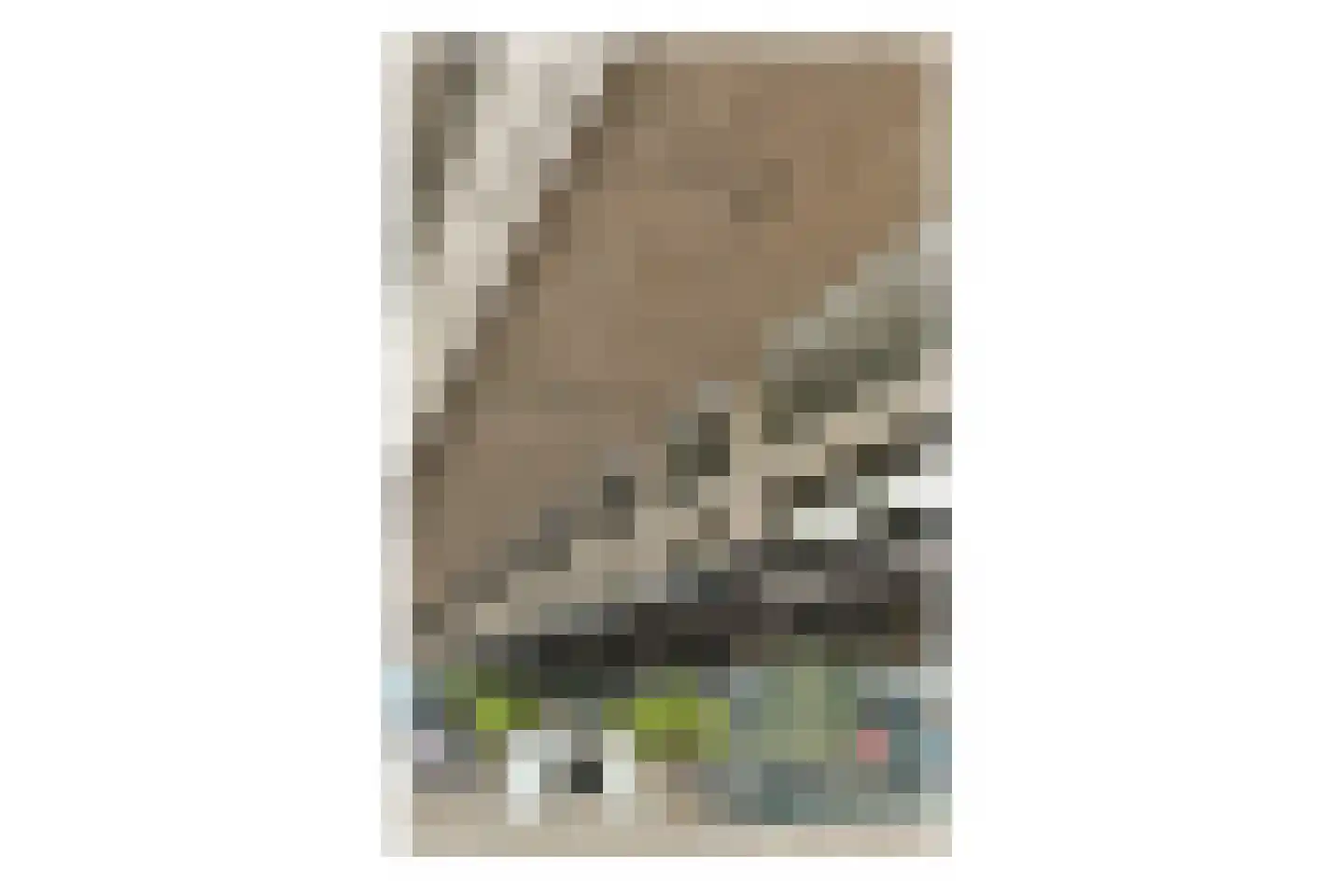 De Monchyplein 95 Rotterdam thumbnail 29