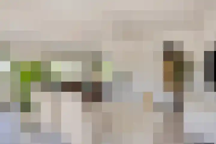 De Monden 4 Elsloo thumbnail 10
