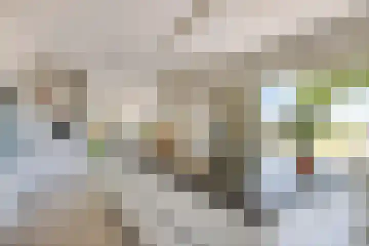 De Monden 4 Elsloo thumbnail 17