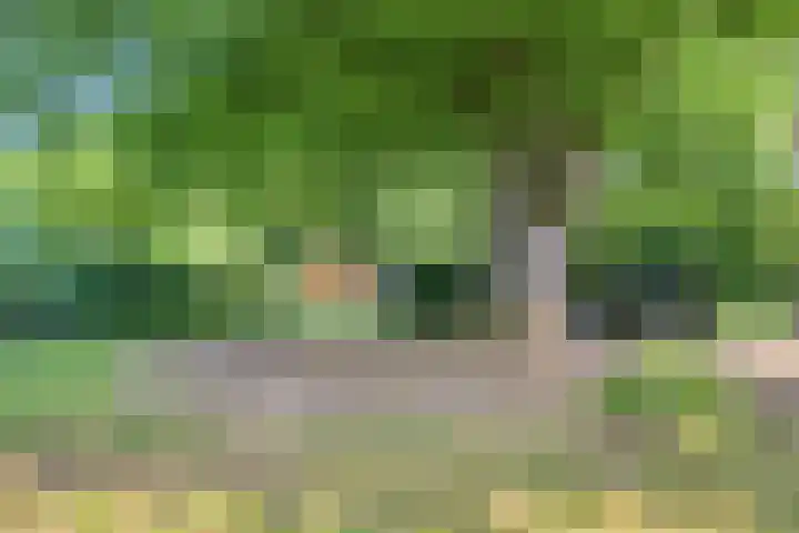 De Monden 4 Elsloo thumbnail 32