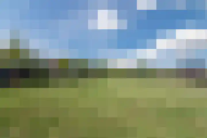 De Monden 4 Elsloo thumbnail 34