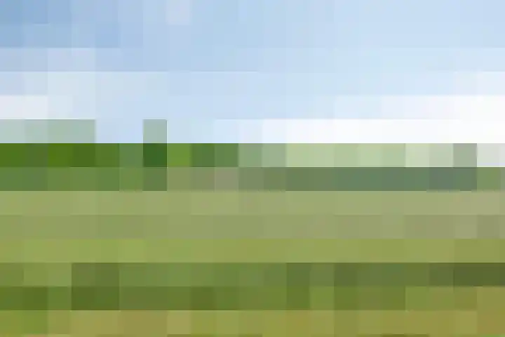 De Monden 4 Elsloo thumbnail 44