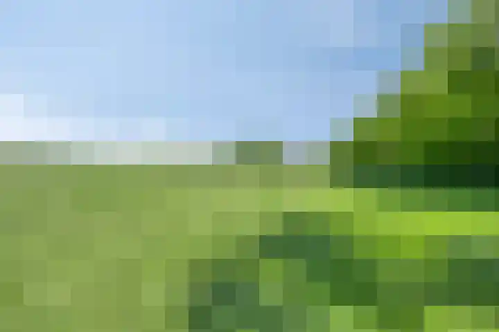 De Monden 4 Elsloo thumbnail 45