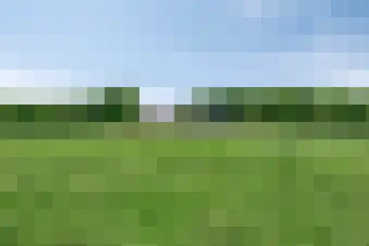 De Monden 4 Elsloo thumbnail 46