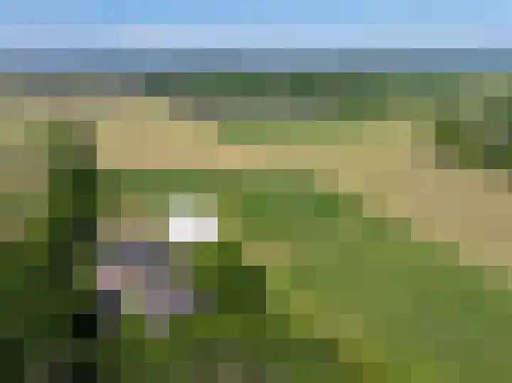 De Monden 4 Elsloo thumbnail 49