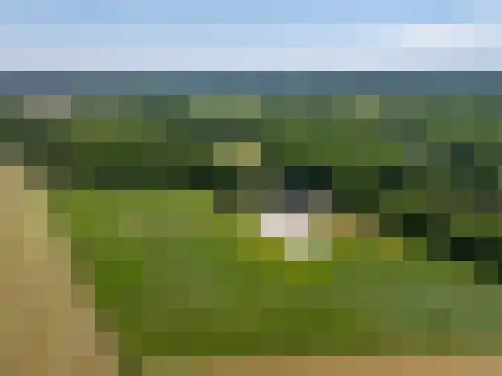De Monden 4 Elsloo thumbnail 50