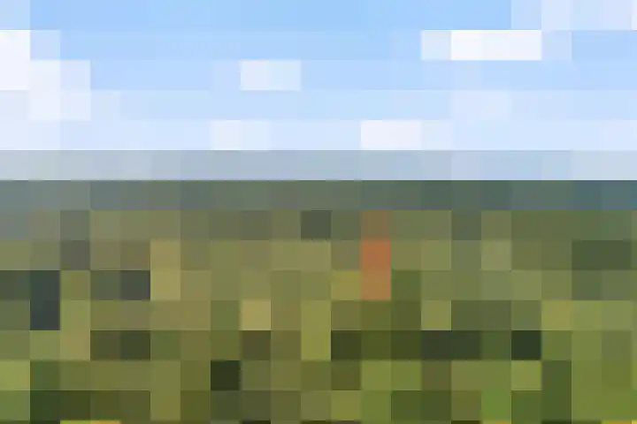 De Monden 4 Elsloo thumbnail 57