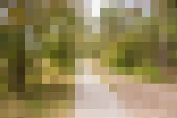 De Monden 4 Elsloo thumbnail 59