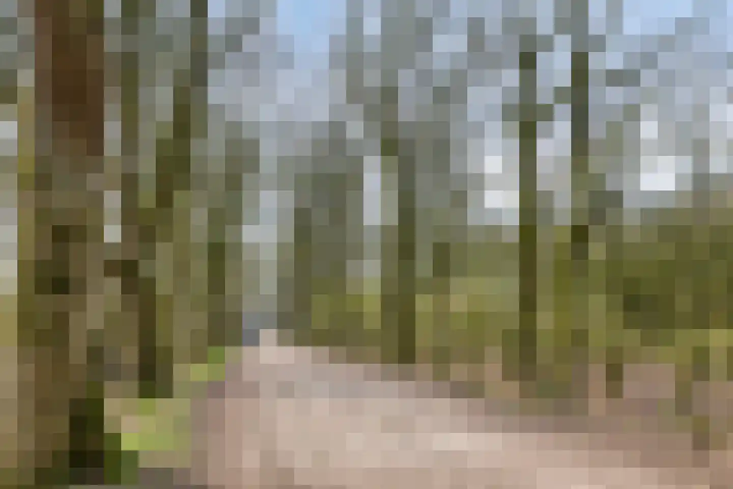 De Monding 26 Veenendaal thumbnail 40