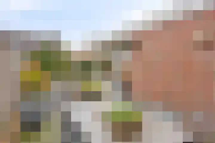 De Monding 3 Veenendaal thumbnail 27