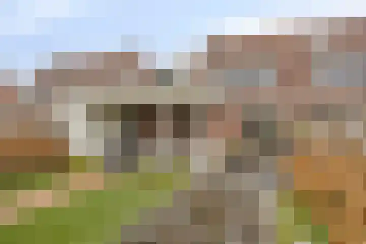 De Monding 3 Veenendaal thumbnail 32