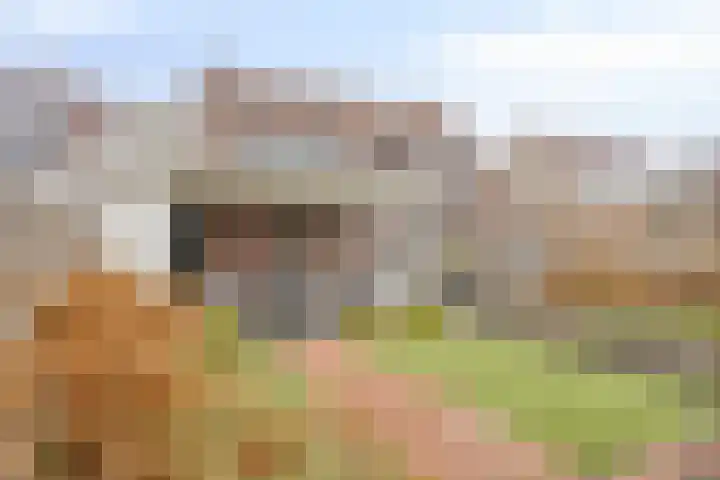 De Monding 3 Veenendaal thumbnail 33