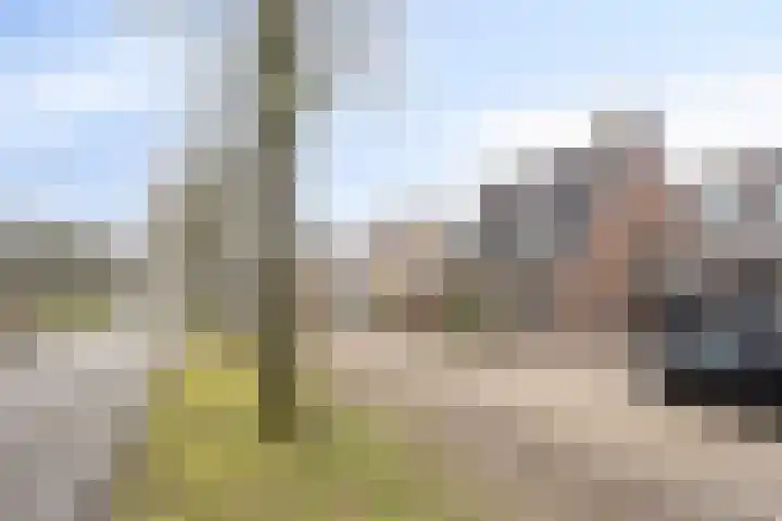 De Monding 3 Veenendaal thumbnail 36