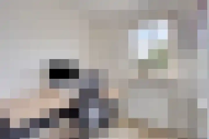 De Monding 9 Veenendaal thumbnail 18