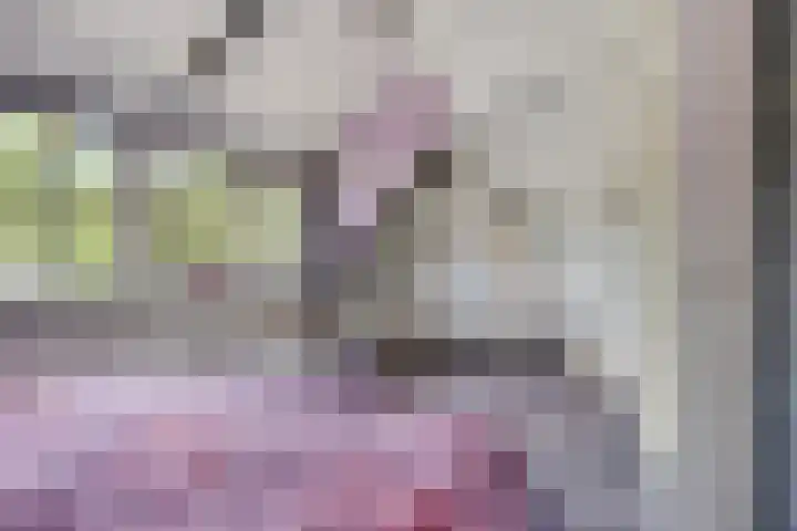 De Monding 9 Veenendaal thumbnail 27