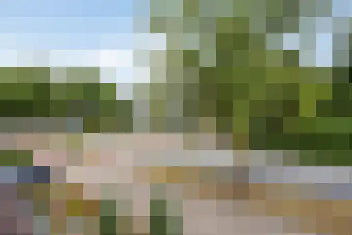 De Monding 9 Veenendaal thumbnail 29