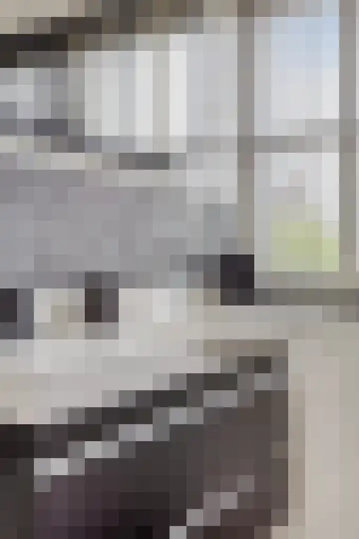 De Monding 9 Veenendaal thumbnail 33