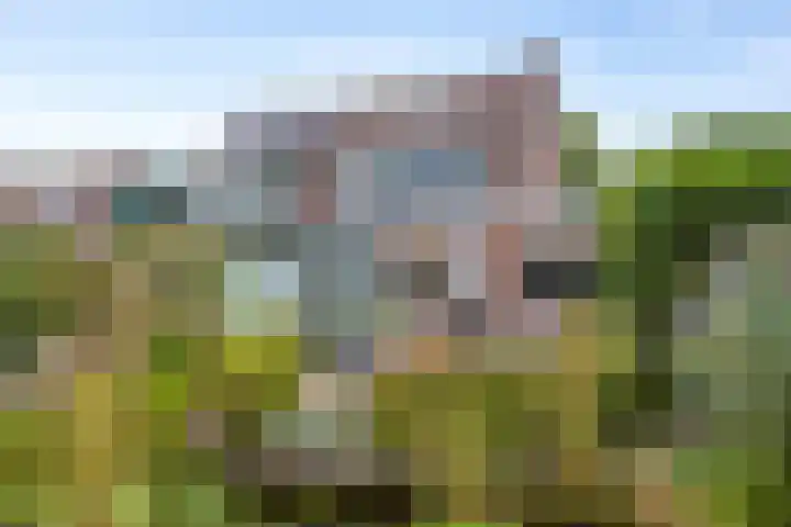 De Monding 9 Veenendaal thumbnail 4