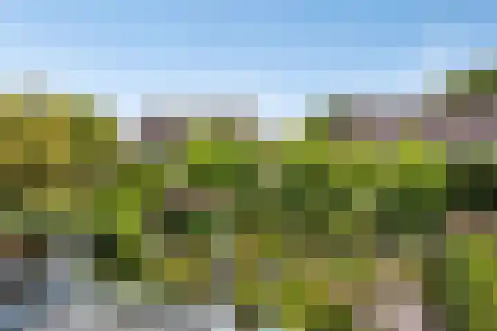 De Monding 9 Veenendaal thumbnail 40