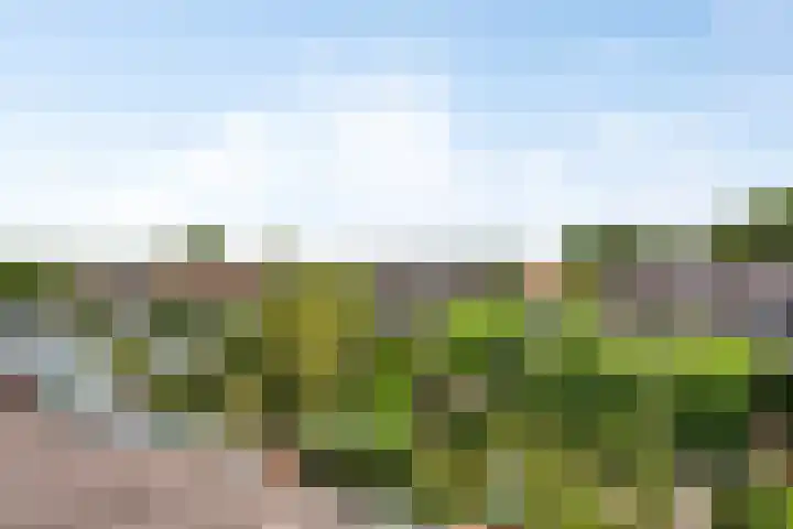 De Monding 9 Veenendaal thumbnail 41