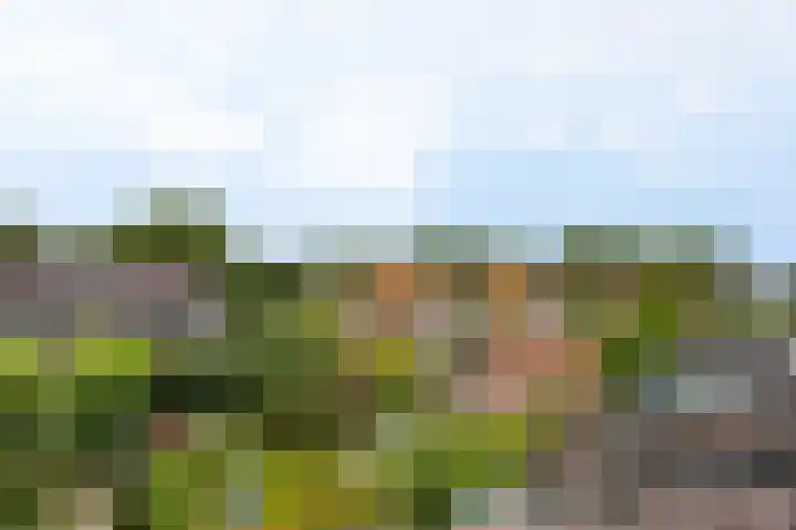 De Monding 9 Veenendaal thumbnail 42