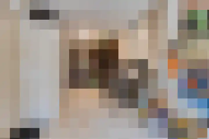 De Monding 9 Veenendaal thumbnail 43