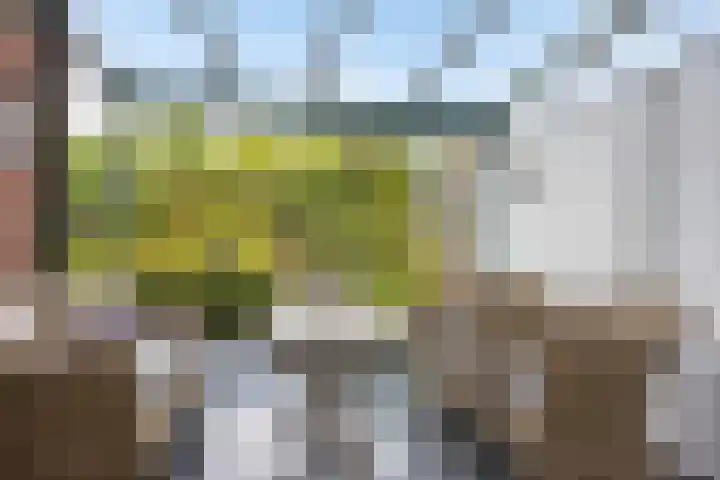 De Monding 9 Veenendaal thumbnail 46