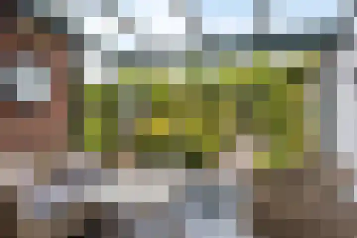 De Monding 9 Veenendaal thumbnail 47