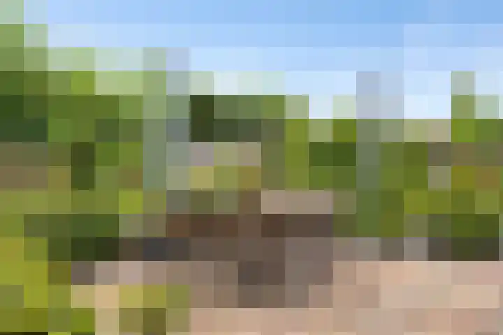 De Monding 9 Veenendaal thumbnail 48