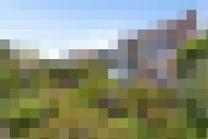 De Monding 9 Veenendaal thumbnail 49