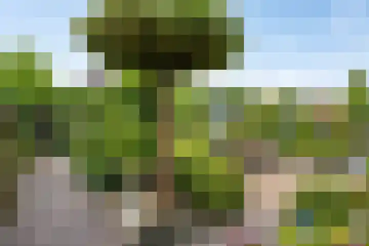 De Monding 9 Veenendaal thumbnail 5