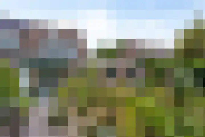 De Monding 9 Veenendaal thumbnail 51