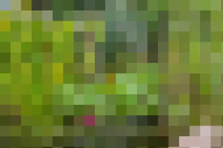 De Monding 9 Veenendaal thumbnail 52