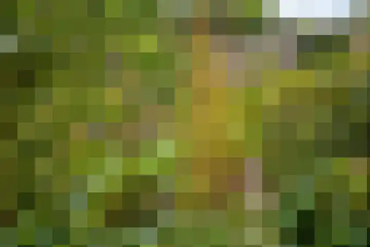 De Monding 9 Veenendaal thumbnail 53