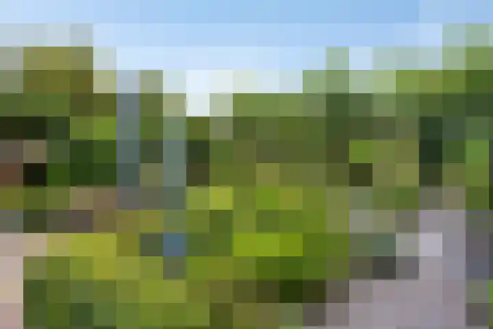 De Monding 9 Veenendaal thumbnail 54