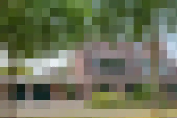 De Monding 9 Veenendaal thumbnail 57
